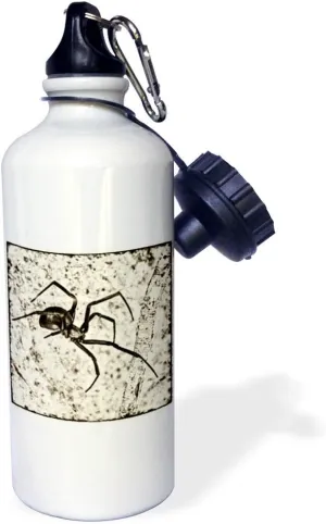 3dRose Western Black Widow spider (Latrodectus hesperus) -Sports Water Bottle, 21oz , Multicolored