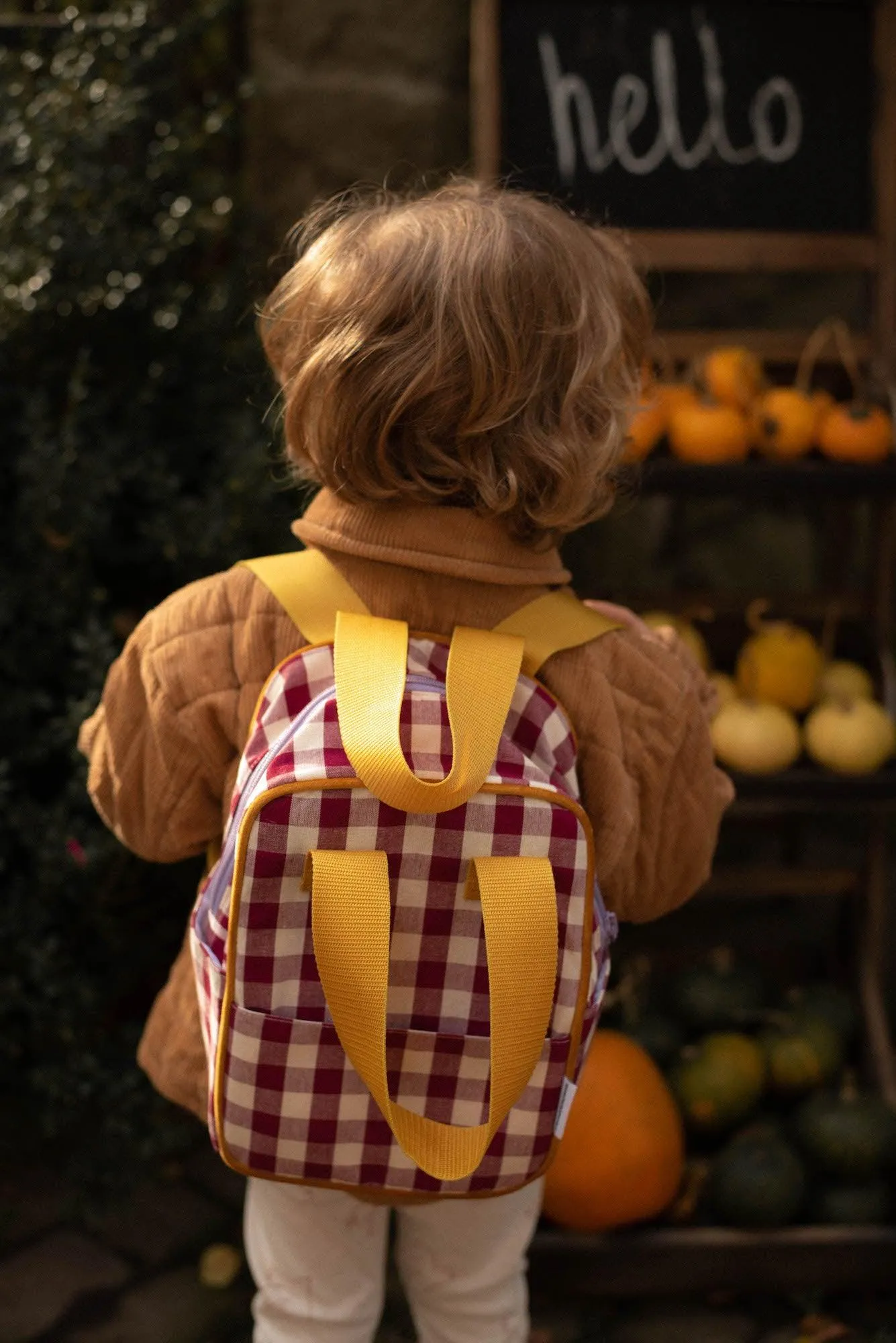Small Backpack | Gingham | Red Plum